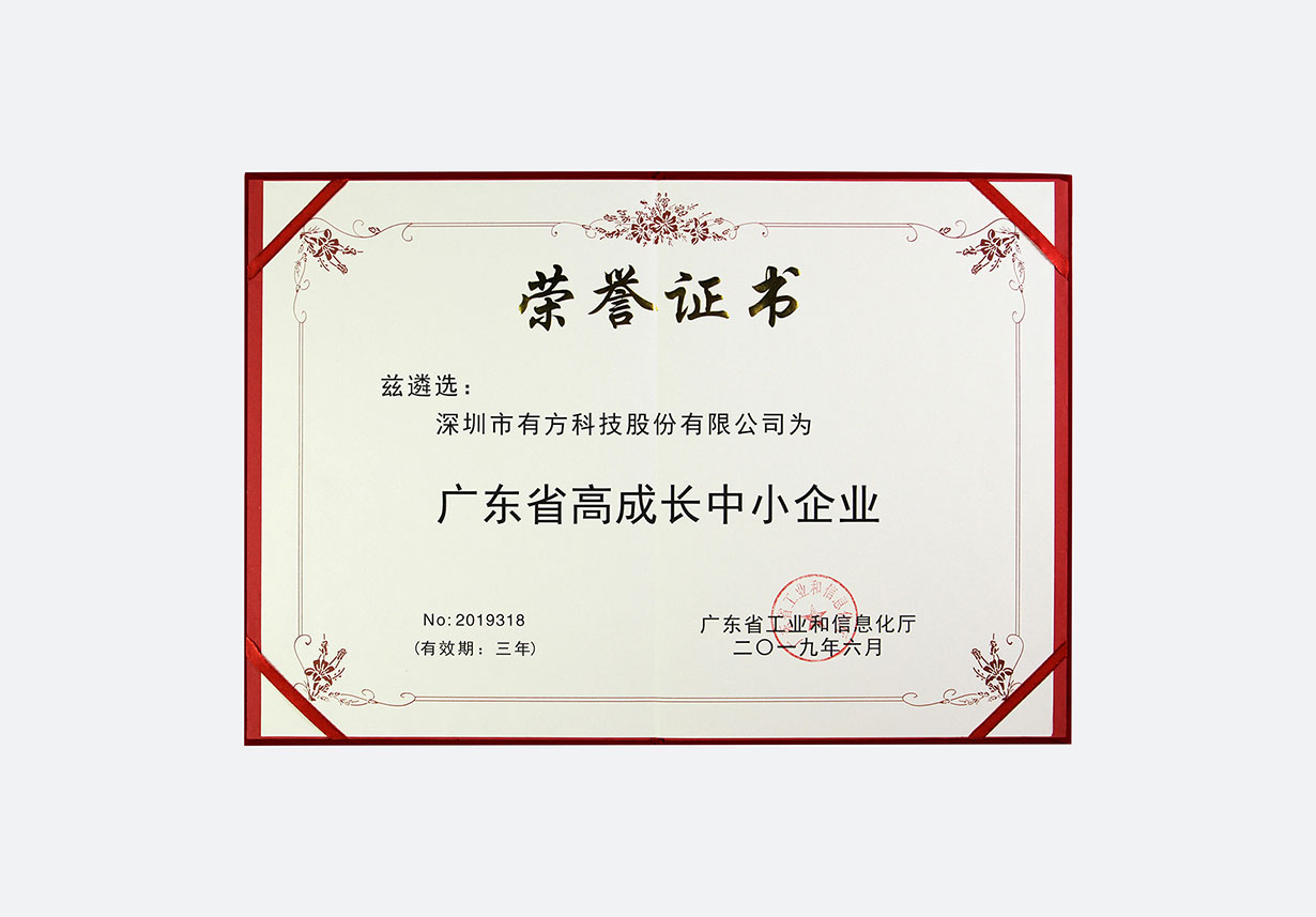 2019广东省高成长中小企业